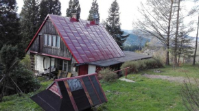 oBłędny Domek, Lachy
